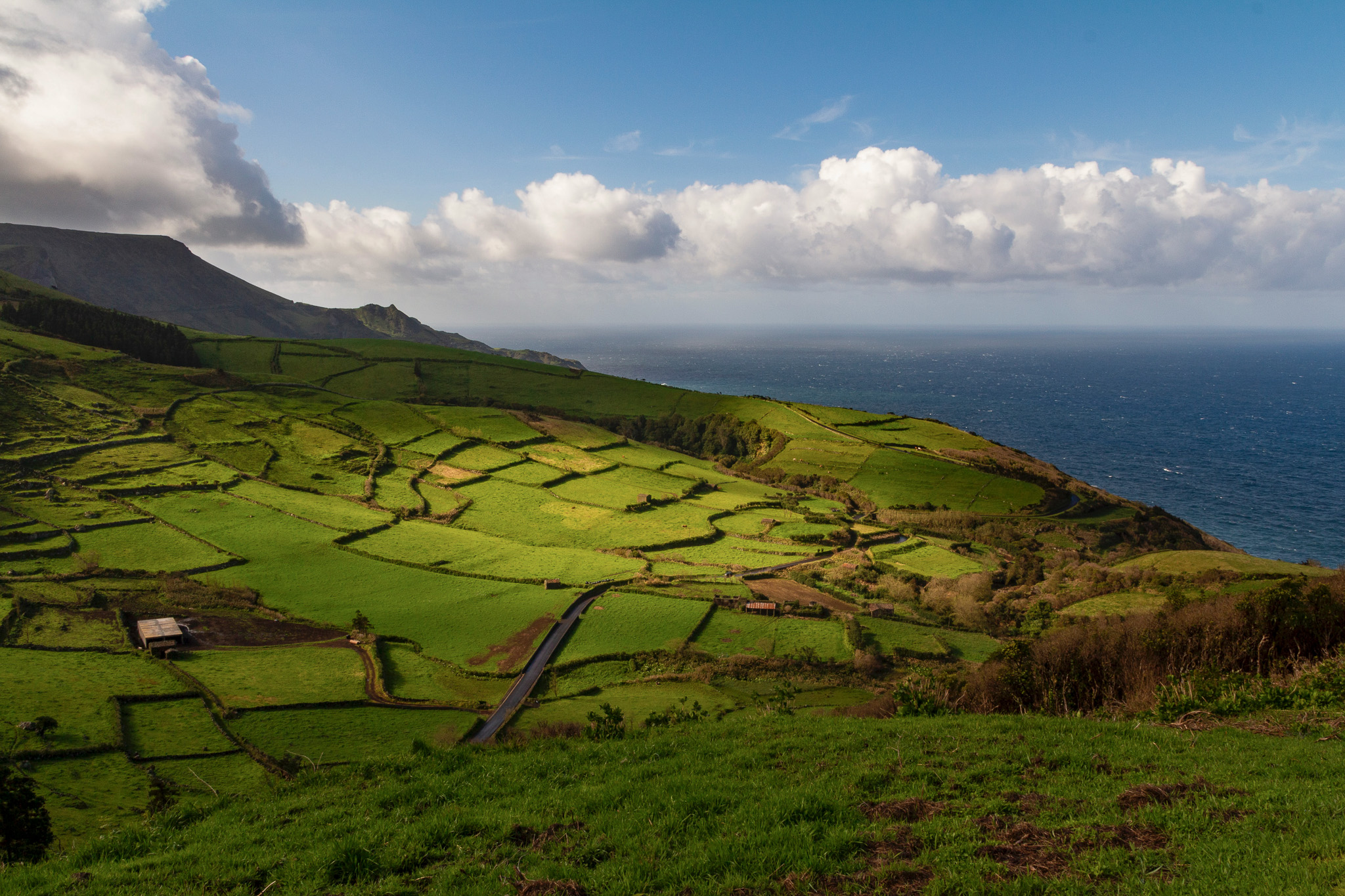 Pico Island.jpg